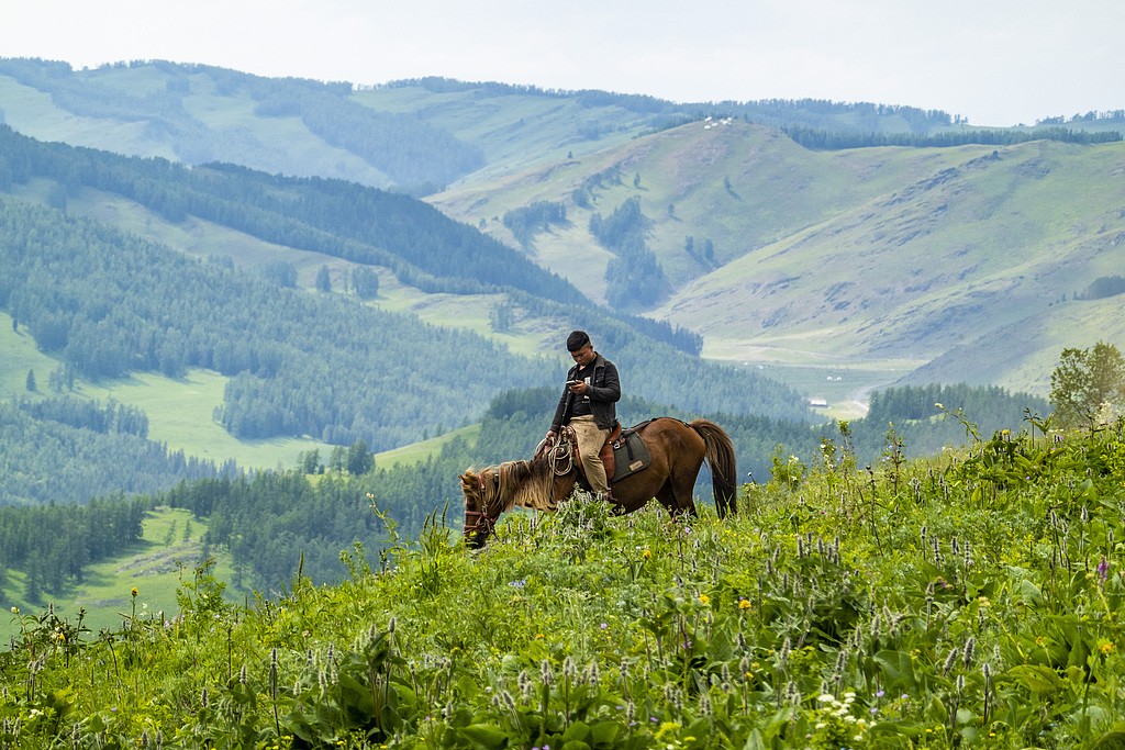 1726242758887047307.jpg 1.jpg