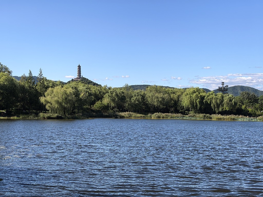 1727184643134098174.jpg 1.jpg