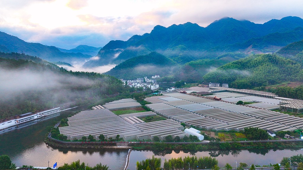 1727617327876050907.jpg 1.jpg