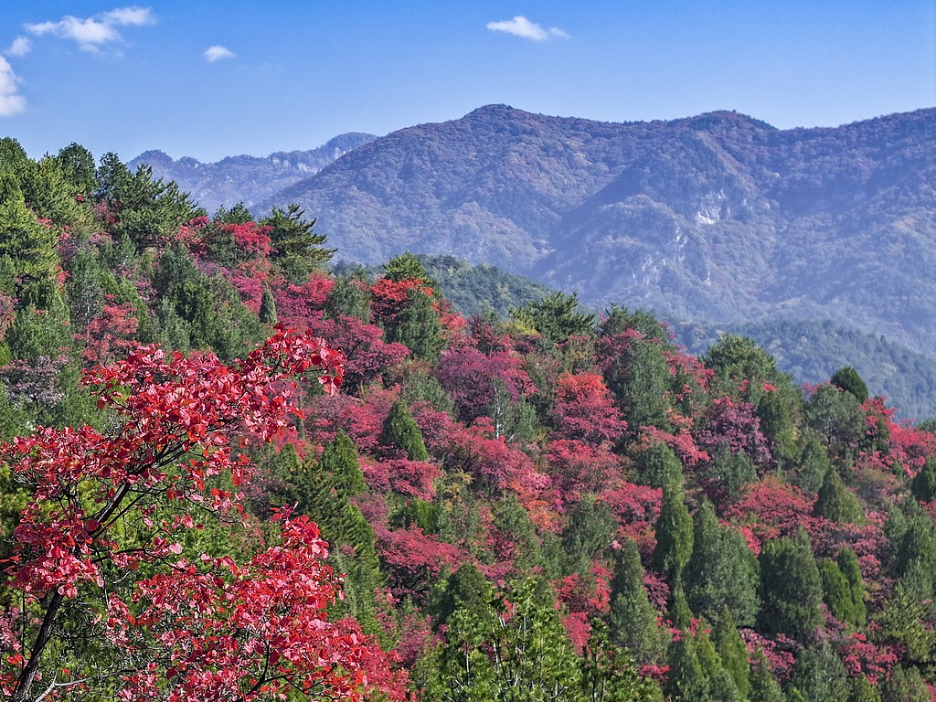 1729004635617025551.jpg 1.jpg