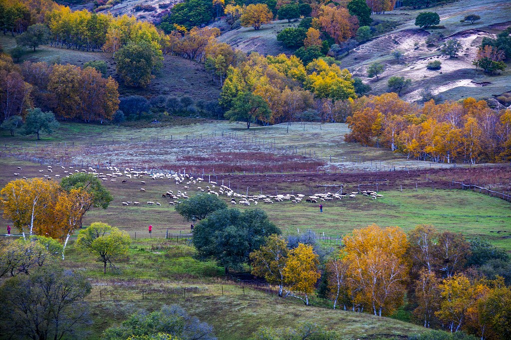 1729266886961070993.jpg 1.jpg