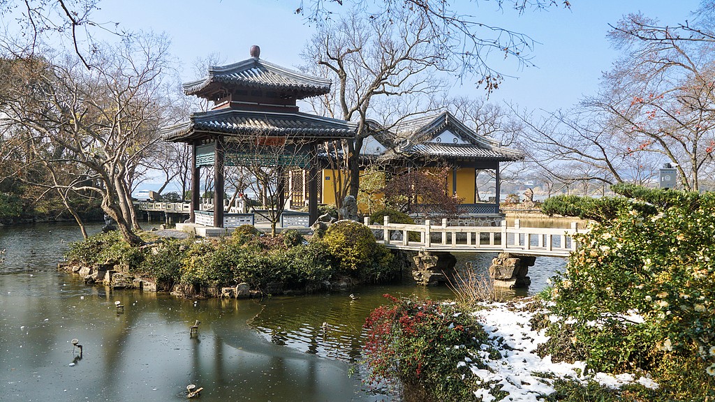 1729431933240083415.jpg 1.jpg