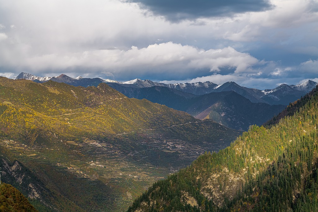 1730043541939065096.jpg 1.jpg