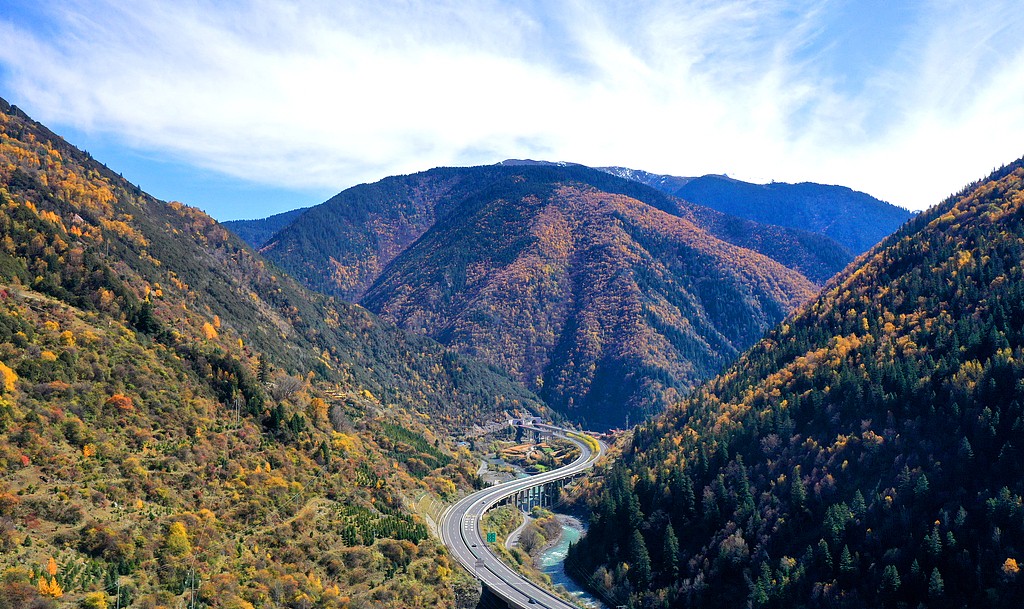 1730216118506065513.jpg 1.jpg