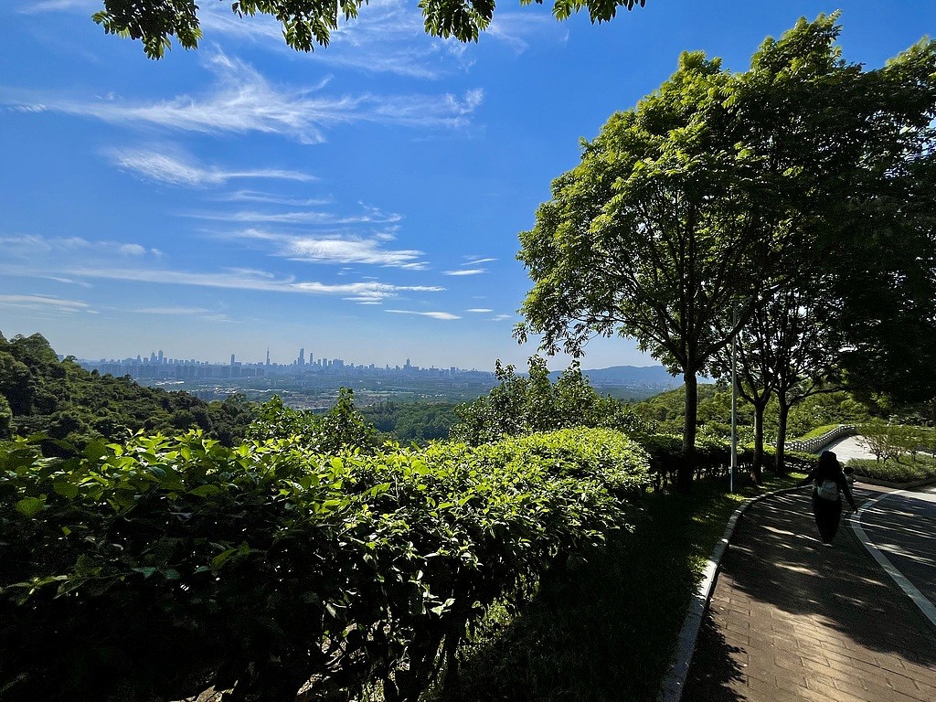 1730476314748081100.jpg 1.jpg