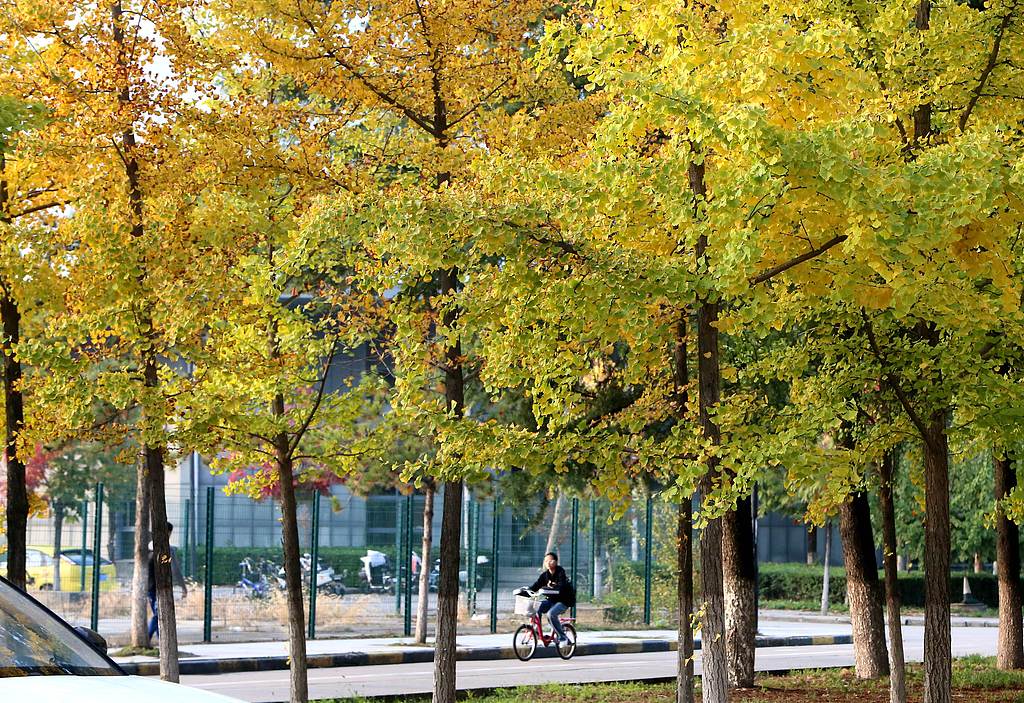 1730641716169003143.jpg 1.jpg