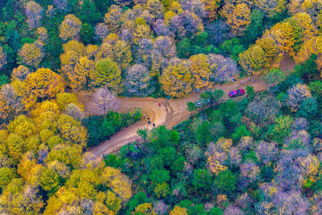 1730816616875076473.jpg 1.jpg