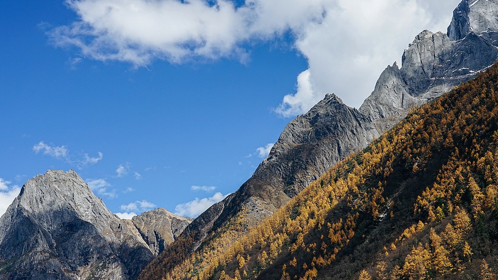 1731850161818012407.jpg 1.jpg