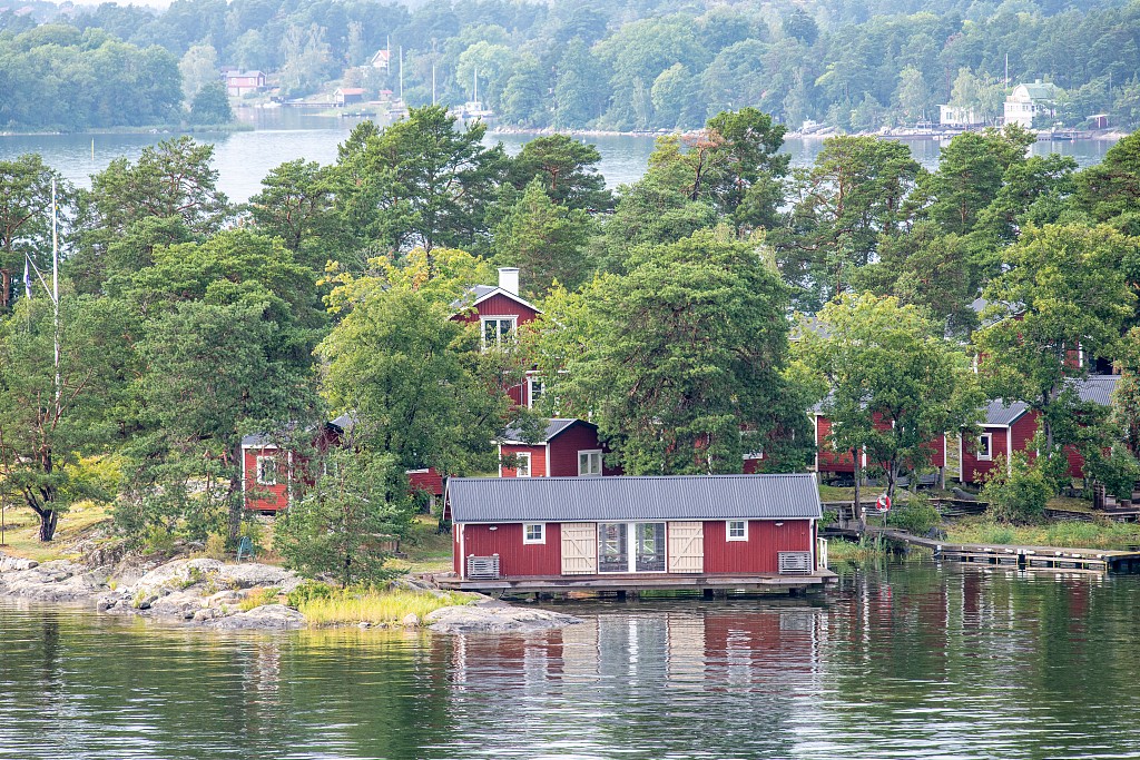 1732291614758049563.jpg 1.jpg