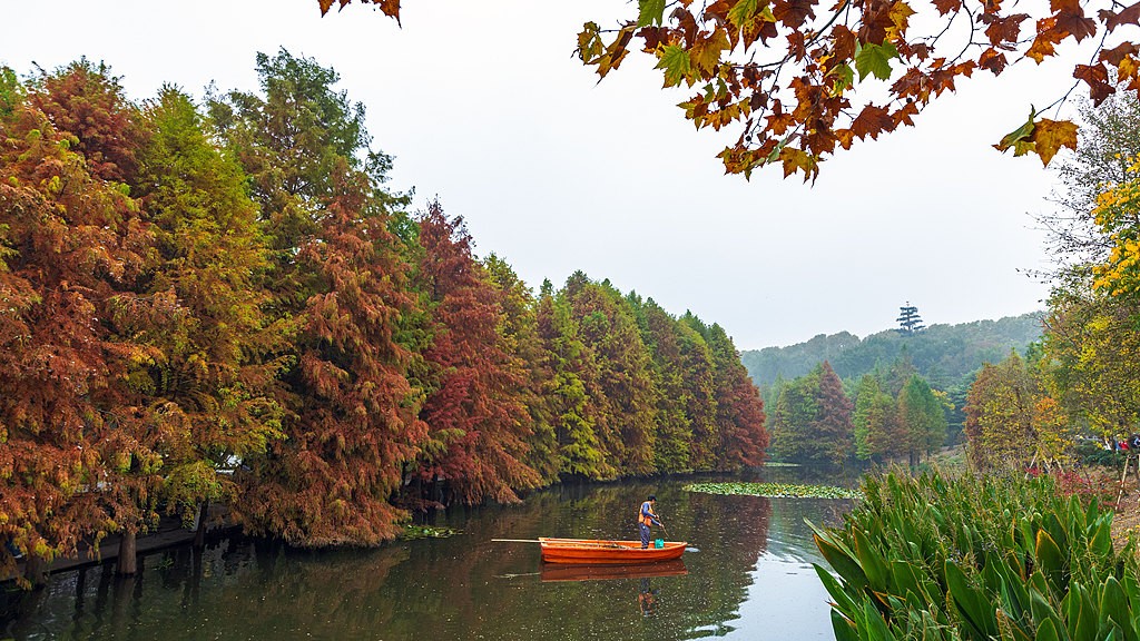 1732458958737006827.jpg 1.jpg