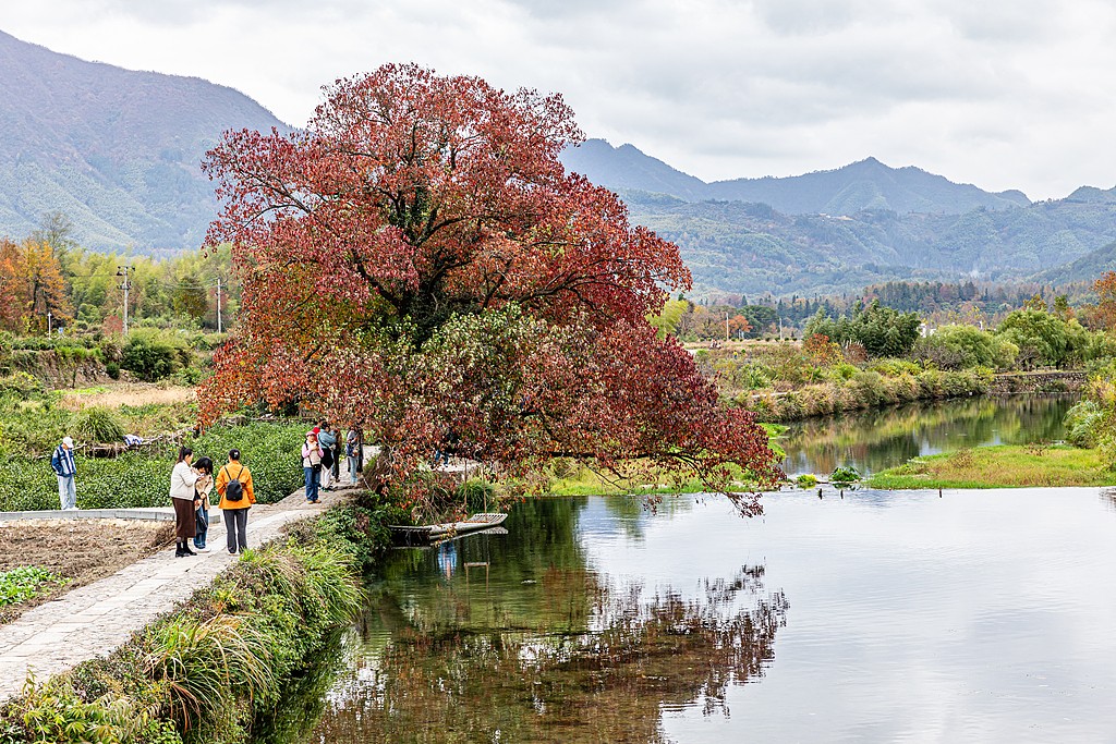 1733502207138035005.jpg 1.jpg