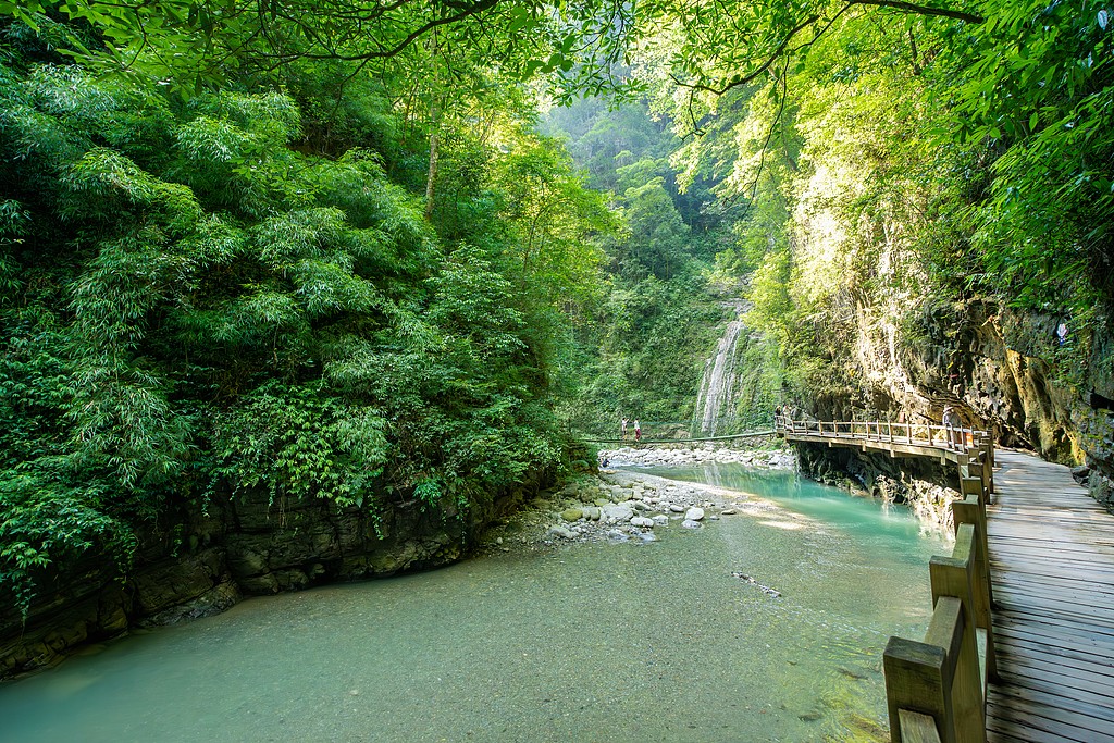 1733670869400031655.jpg 1.jpg