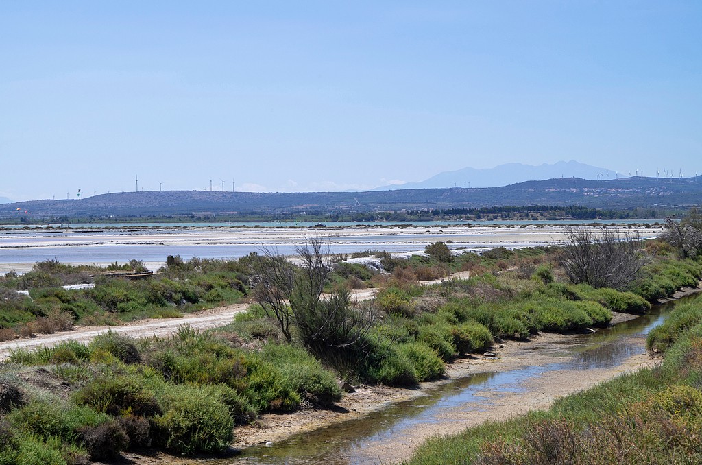 1756482687586009593.jpg 1.jpg