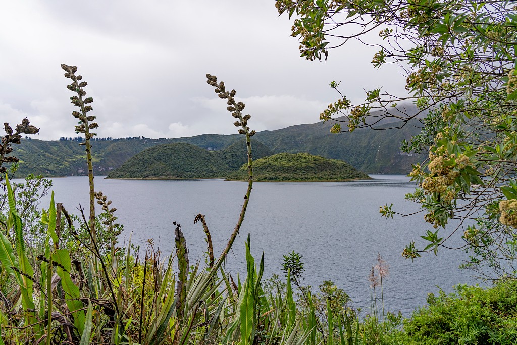 1758039740656085108.jpg 1.jpg