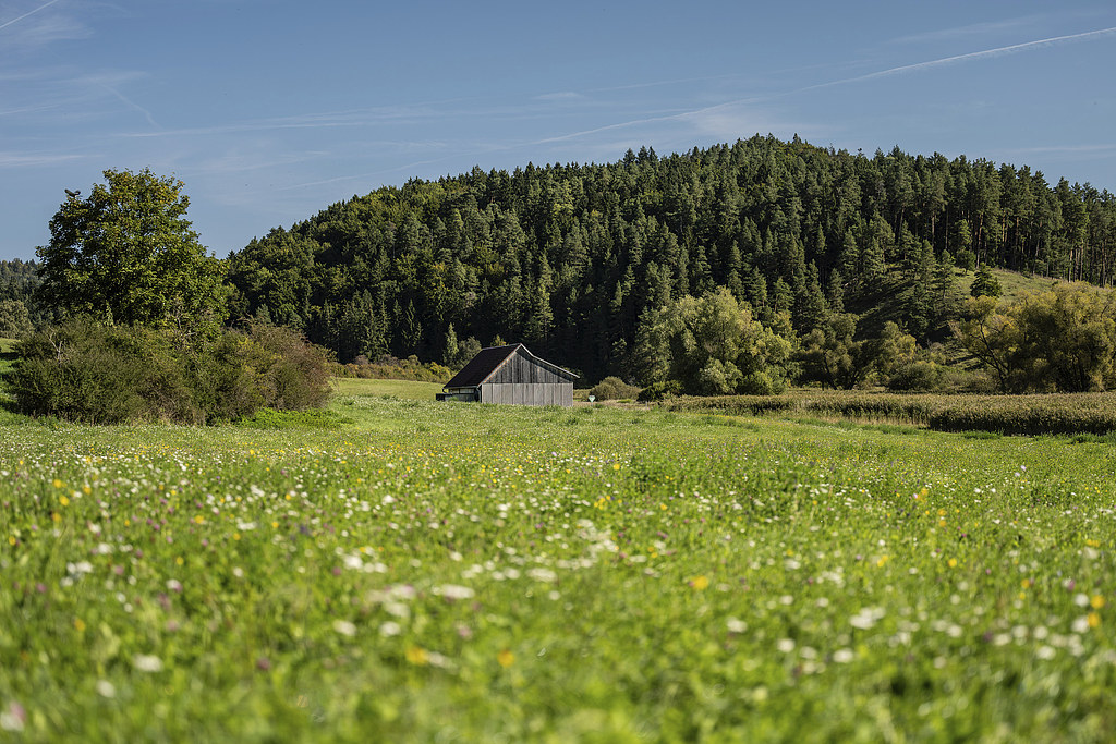 1758302581833064518.jpg 1.jpg