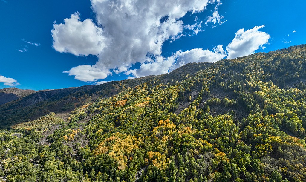 1760285855807063952.jpg 1.jpg