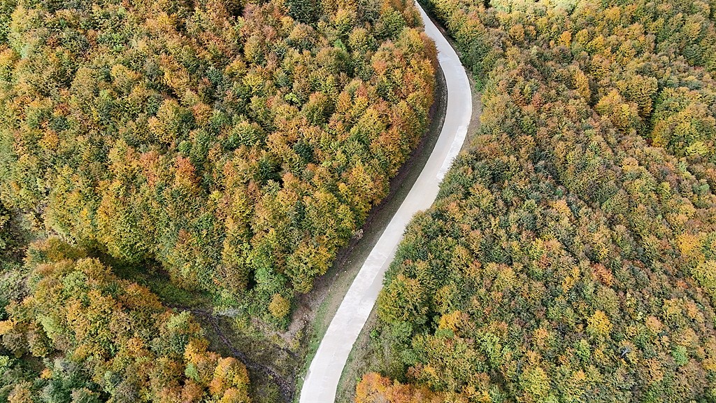 1761064069766020114.jpg 1.jpg