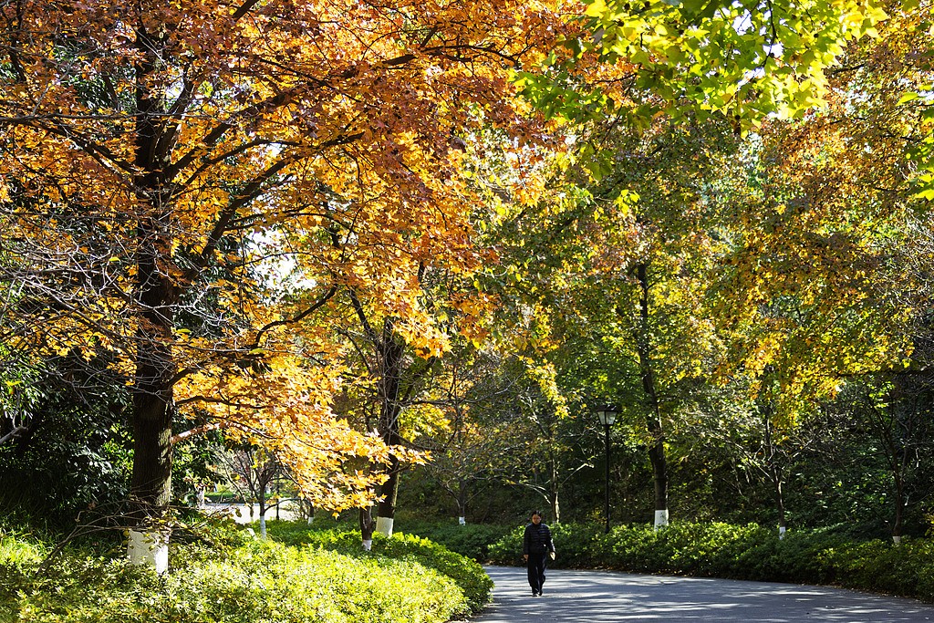 1764087979739096014.jpg 1.jpg