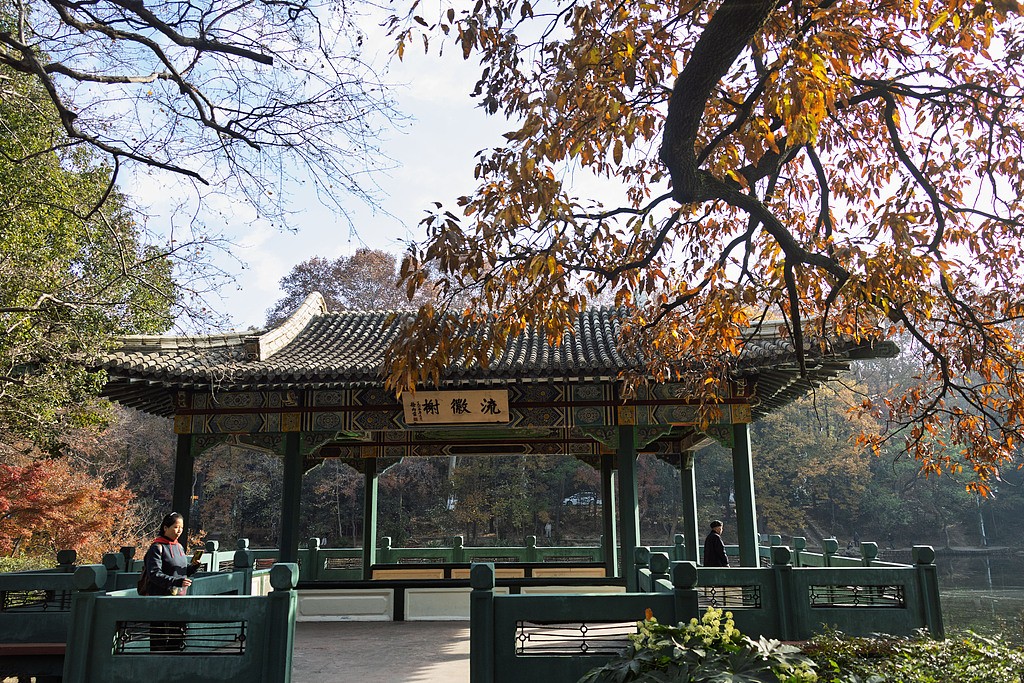 1764519327183074895.jpg 1.jpg