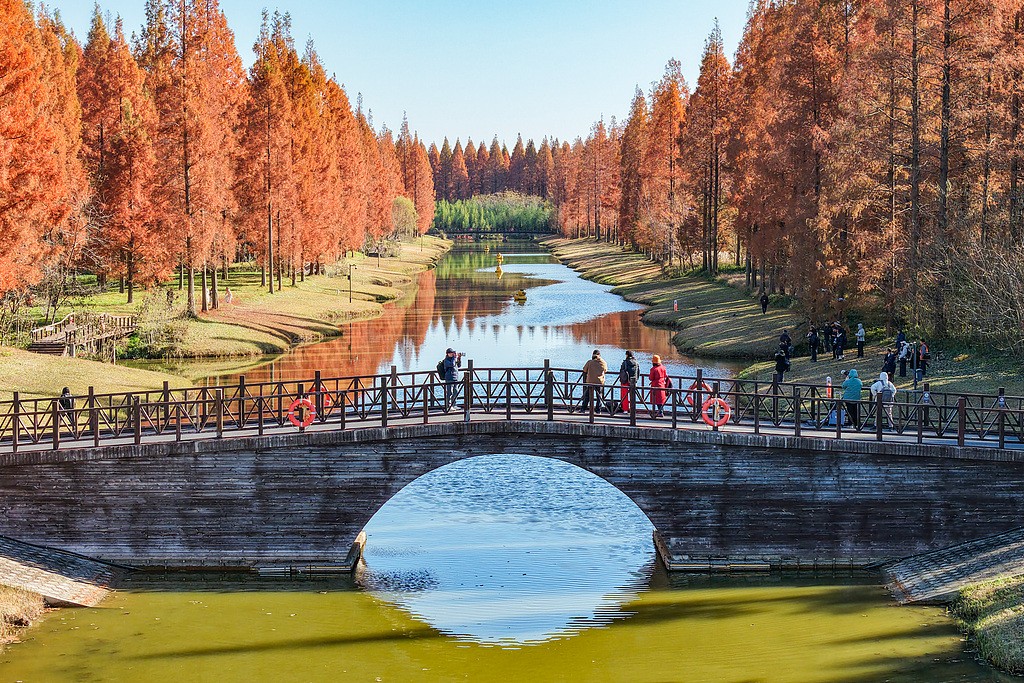 1764953936667001004.jpg 1.jpg