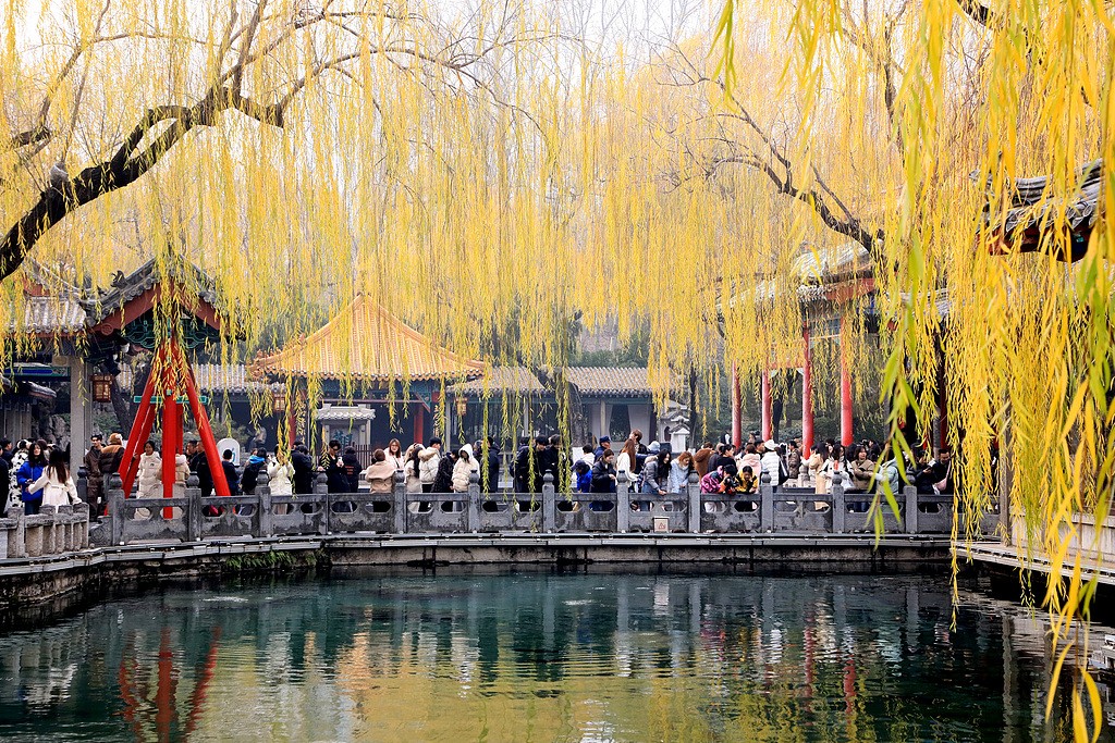 1766333024313078466.jpg 1.jpg