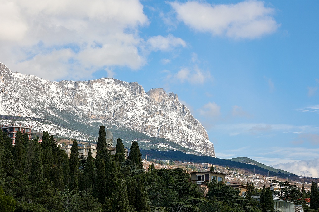 1768319151515011140.jpg 1.jpg