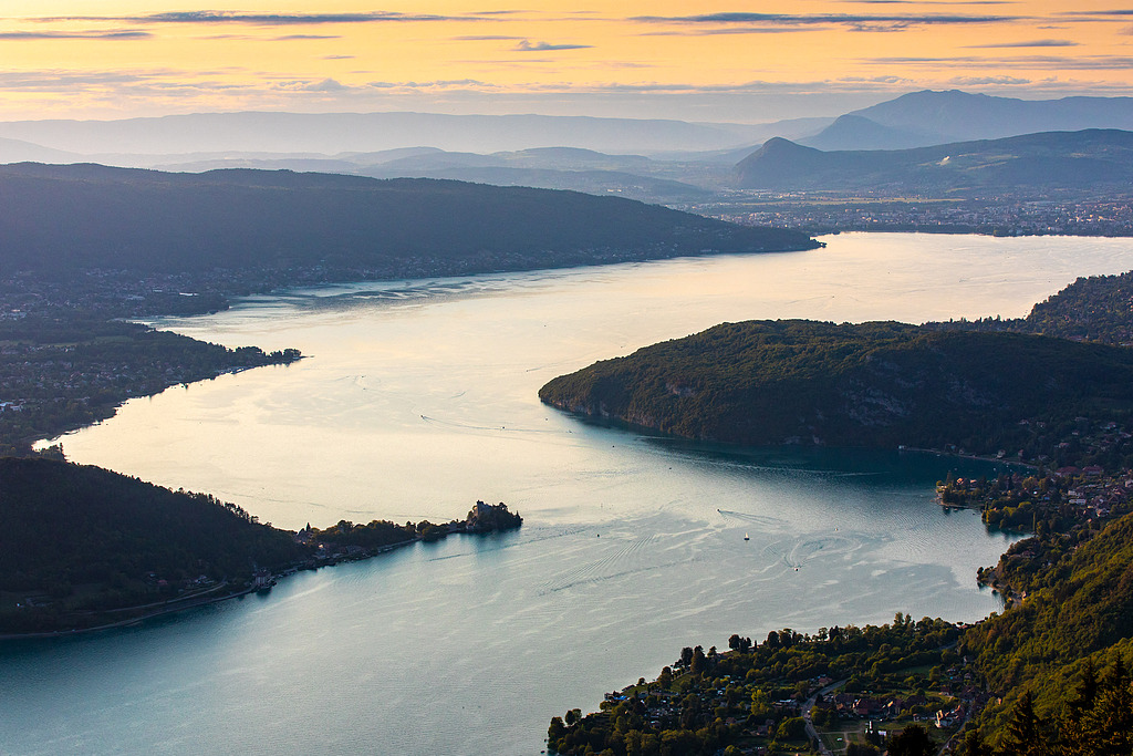 1769190869798007945.jpg 1.jpg