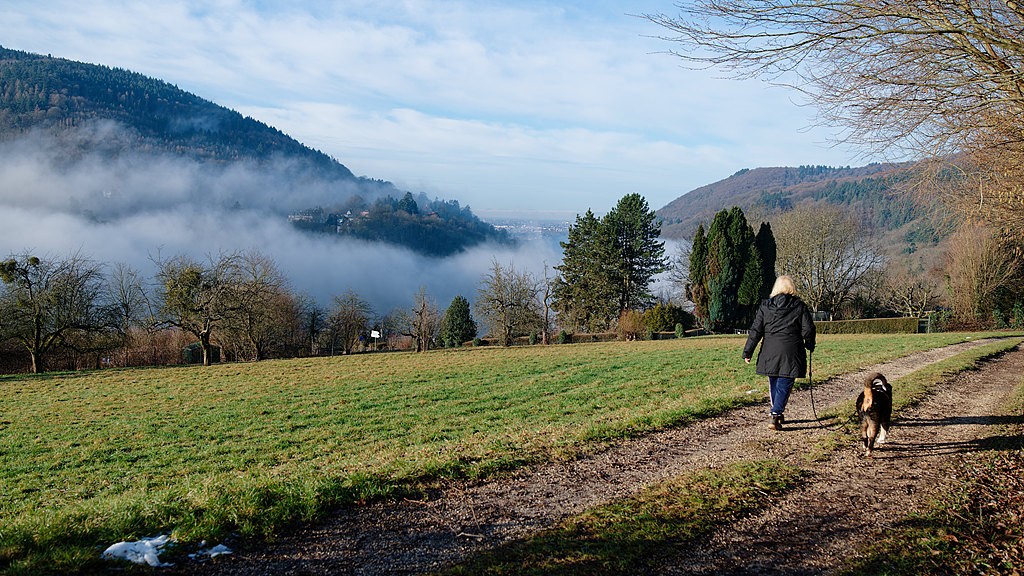 1769525709103025280.jpg 1.jpg